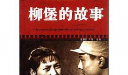 电影柳堡的故事,烽火岁月里的青春恋歌