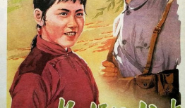 电影柳堡的故事,烽火岁月里的青春恋歌